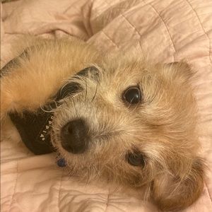 Meet your Posher, Marian